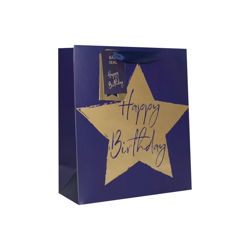BLUE STAR LARGE GIFT BAG-ACCESSORY-Partica Party